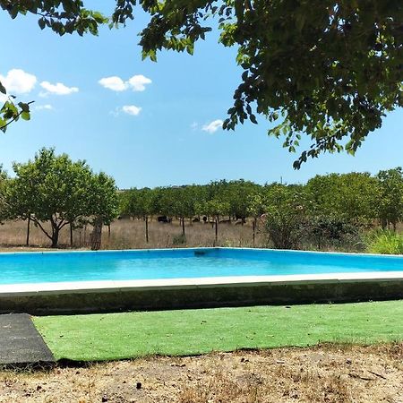 Willa Rod Ranch Livestock - Stanza Doppia Con Letti Singoli Campagnano Di Roma Zewnętrze zdjęcie