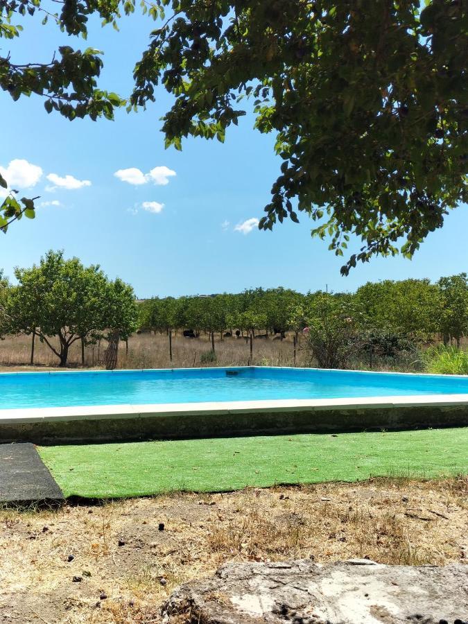 Willa Rod Ranch Livestock - Stanza Doppia Con Letti Singoli Campagnano Di Roma Zewnętrze zdjęcie